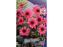 53,8���.�������� ��� ����� (���������� ������ ������ ���������� �� 1 ��.).jpg