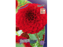 45,6���.�������� ������ (���������� ������ ������ ���������� �� 1 ��.).jpg