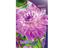 51,4���.�������� ��� ��� (���������� ������ ������ ���������� �� 1 ��.).jpg