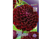 54,3���.�������� ���� ������ (���������� ������ ������ ���������� �� 1 ��.).jpg