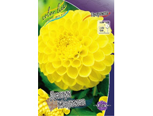 60,1���.�������� ����� ������� (���������� ������ ������ ���������� �� 1 ��.).jpg