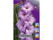 7,31���.��������� �����,������10-12 (���������� ������ ������ ���������� �� 10 ��.).jpg