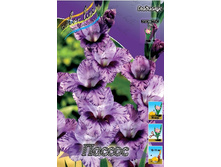 7,31���.��������� ������,������10-12 (���������� ������ ������ ���������� �� 10 ��.).jpg