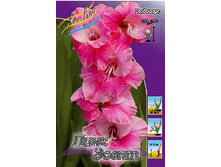 7,31���.��������� ���� �����,������10-12 (���������� ������ ������ ���������� �� 10 ��.).jpg