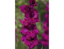 6,07���.��������� �����,������10-12 (���������� ������ ������ ���������� �� 10 ��.).jpg