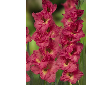 6,07���.��������� ��������,������10-12 (���������� ������ ������ ���������� �� 10 ��.).jpg