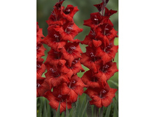 6,07���.��������� �������,������10-12 (���������� ������ ������ ���������� �� 10 ��.).jpg