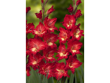 6,07���.��������� �������,������10-12 (���������� ������ ������ ���������� �� 10 ��.).jpg