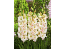 6,07���.��������� ���� ��������,������10-12 (���������� ������ ������ ���������� �� 10 ��.).jpg