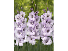 6,07���.��������� ��������,������10-12 (���������� ������ ������ ���������� �� 10 ��.).jpg