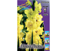 6,07���.��������� ���� ����,������14-16 (���������� ������ ������ ���������� �� 10 ��.).jpg