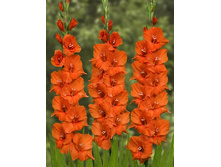 6,07���.��������� ������ ���,������10-12 (���������� ������ ������ ���������� �� 10 ��.).jpg