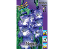 6,63���.��������� ����,������10-12 (���������� ������ ������ ���������� �� 10 ��.).jpg