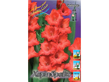 6,74���.��������� ���������,������10-12 (���������� ������ ������ ���������� �� 10 ��.).jpg