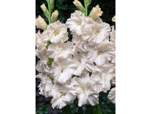 6,18���.��������� ���� �������,������10-12 (���������� ������ ������ ���������� �� 10 ��.).jpg