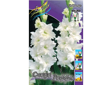 6,18���.��������� ����� �������,������10-12 (���������� ������ ������ ���������� �� 10 ��.).jpg