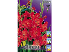 4,94���.��������� ���� (���������� ������ ������ ���������� �� 10 ��.).jpg