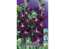 8,43���.��������� ����� (���������� ������ ������ ���������� �� 10 ��.).jpg