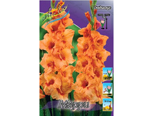 8,43���.��������� ����� (���������� ������ ������ ���������� �� 10 ��.).jpg