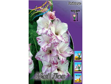 4,6���.��������� ��� ���,������12-14 (���������� ������ ������ ���������� �� 10 ��.).jpg