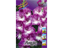 4,83���.��������� ����,������10-12 (���������� ������ ������ ���������� �� 10 ��.).jpg