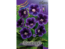 38,94���.��������� �������� (�������� ���� �� 5 ��., ����������� ����� 1��.).jpg