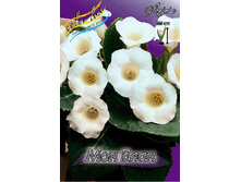 38,94���.��������� ��� ���� (�������� ���� �� 5 ��., ����������� ����� 1��.).jpg