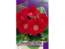 38,94���.��������� ����� �� �� (�������� ���� �� 5 ��., ����������� ����� 1��.).jpg