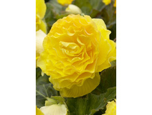 23,74���.������� �������� ������ (���������� �� ����� �������� �� 5��.).jpg