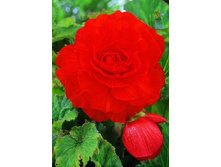 23,74���.������� �������� ��������� (���������� �� ����� �������� �� 5��.).jpg