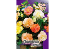 31,06���.������� ������� ����� (�������� ���� �� 5 ��., ����������� ����� 1��.).jpg