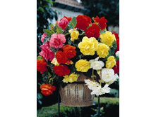 31,06���.������� ������� ������ ����� (�������� ���� �� 5 ��., ����������� ����� 1��.).jpg