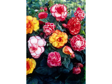 32,18���.������� ������� ����� (�������� ���� �� 5 ��., ����������� ����� 1��.).jpg