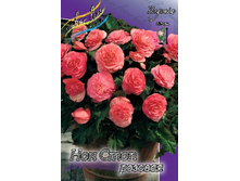 35,56���.������� ��� ���� ������� (�������� ���� �� 5 ��., ����������� ����� 1��.).jpg