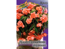 36,92���.������� ����������� ������� (�������� ���� �� 5 ��., ����������� ����� 1��.).jpg