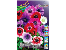 2,56���.������� �� ���� ����� (���������� ������ ������ ���������� �� 15 ��.).jpg