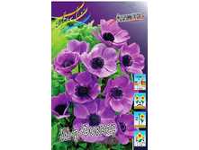 2,76���.������� �-� ������ (���������� ������ ������ ���������� �� 15 ��.).jpg