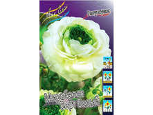 21,25���.���������� ��������� ���� ����� (��� 10 ��. ���������� ������ 5��.).jpg