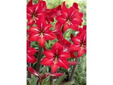 88,35���.��������� ������ ���� (�������� ���� �� 2 ��., ����������� ����� 1��.).jpg