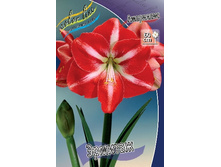 139,2���.��������� ������� (�������� ���� �� 1 ��., ����������� ����� 1��.).jpg