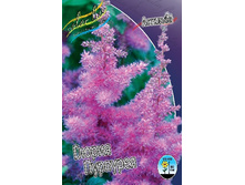 34,74���. �������� ������ �������� (�������� ���� �� 3 ��., ����������� ����� 1��.).jpg