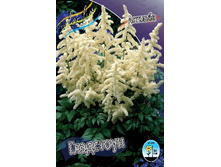 34,74���. �������� ��������� (�������� ���� �� 3 ��., ����������� ����� 1��.).jpg