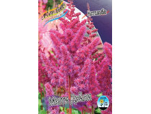 37,5���. �������� ����� ����� (�������� ���� �� 3 ��., ����������� ����� 1��.).jpg