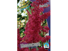 41,63���. �������� ���������� (�������� ���� �� 3 ��., ����������� ����� 1��.).jpg