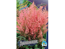 45,8���. �������� ���������� (�������� ���� �� 3 ��., ����������� ����� 1��.).jpg