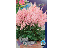 52,7���. �������� ���� ������ (�������� ���� �� 3 ��., ����������� ����� 1��.).jpg