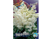 53,8���. �������� ��� ��� ���� (�������� ���� �� 3 ��., ����������� ����� 1��.).jpg