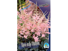 56,27���. �������� ��� �� ���� (�������� ���� �� 3 ��., ����������� ����� 1��.).jpg