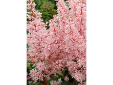 57,75���. �������� ��� �� �� (�������� ���� �� 2 ��., ����������� ����� 1��.).jpg