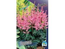 72,07���. �������� ������ (�������� ���� �� 3 ��., ����������� ����� 1��.).jpg